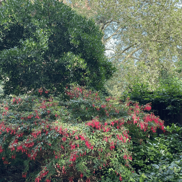 Outside Rise of the Resistance