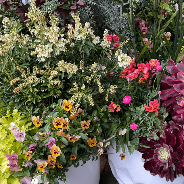 Martha's Vineyard the tri-quel!