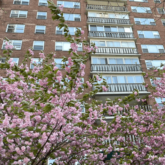 NYC by Chelsea Market