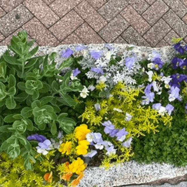 Outside my Town's Public Library