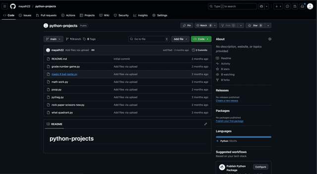 Python Projects Collection