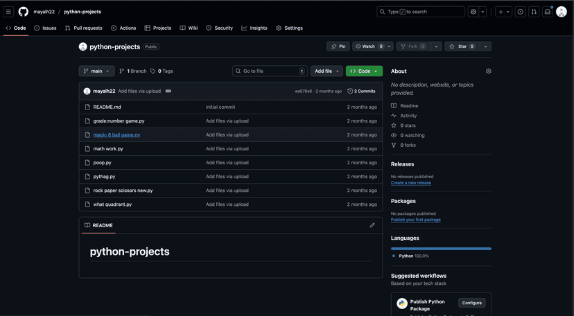 Python Projects Collection
